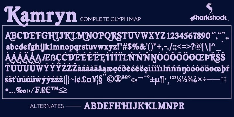 Kamryn Font Family free download preview 2 – Font Family font