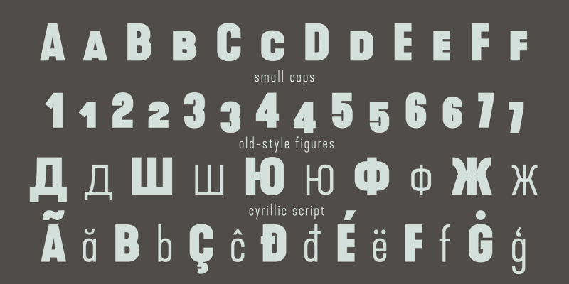 Kapra Neue Pro Font Family free download preview 4 – Sans Serif Fonts font