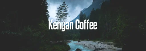 Kenyan Coffee Font Family free download preview 6 – Sans Serif Fonts font