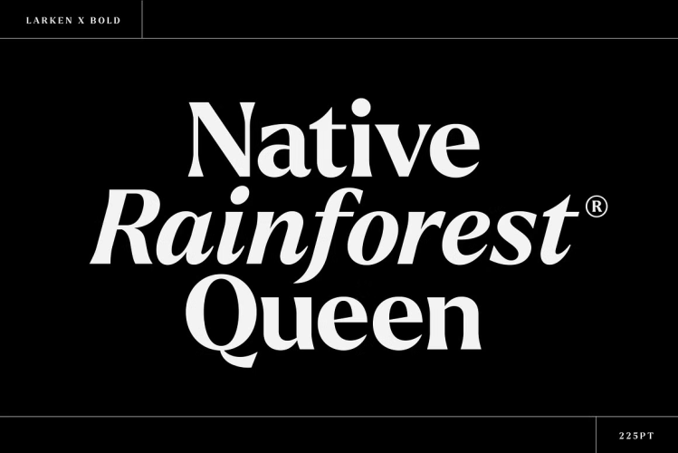 Larken Font free download preview 1 – Serif Fonts font