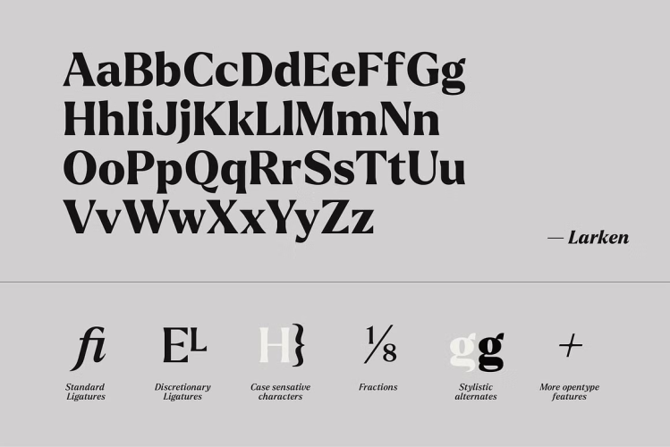 Larken Font free download preview 10 – Serif Fonts font