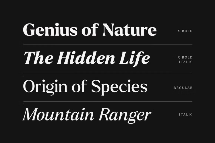 Larken Font free download preview 5 – Serif Fonts font