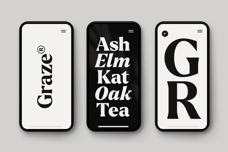 Larken Font free download preview 9 – Serif Fonts font