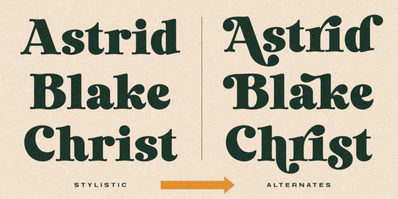 Laurens Font free download preview 5 – Serif Fonts font