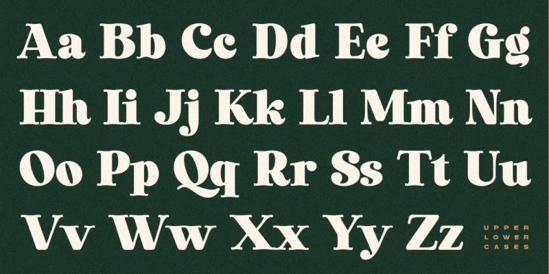 Laurens Font free download preview 7 – Serif Fonts font