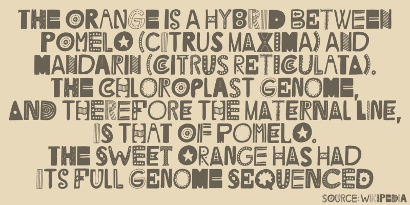 Litter Funk Font free download preview 2 – Display Fonts font