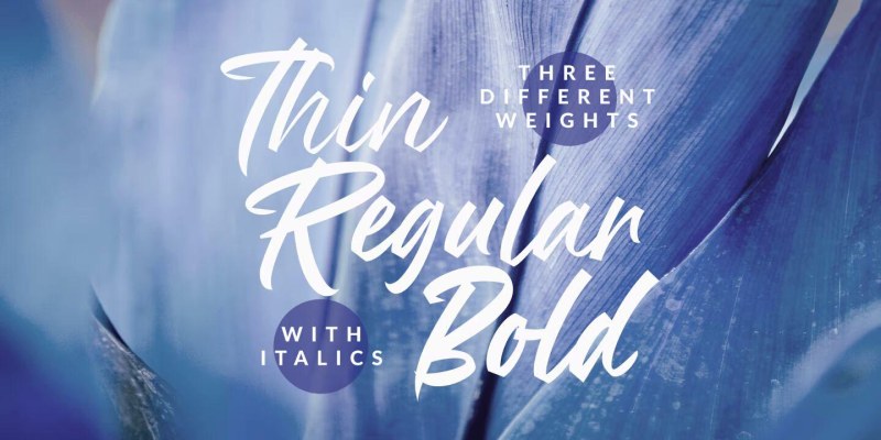 Mandoul Script Font free download preview 1 – Font Family font