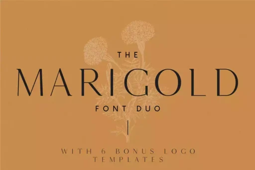 Marigold Font free download preview 6 – Sans Serif Fonts font