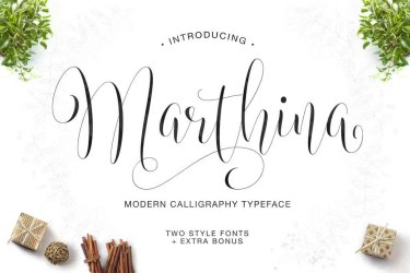 Marthina Script Two Style Font free download – Script And Handwritten font preview