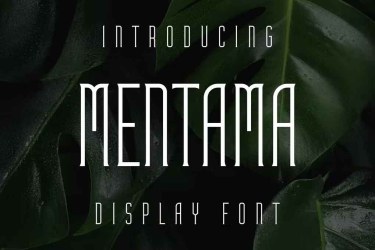 Mentama Font free download – Serif Fonts font preview