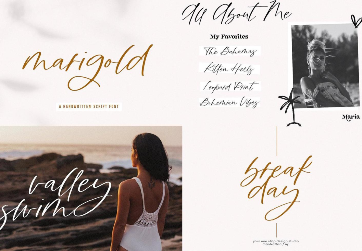 Modern Script Fonts Bundle free download preview 10 – Modern Fonts font