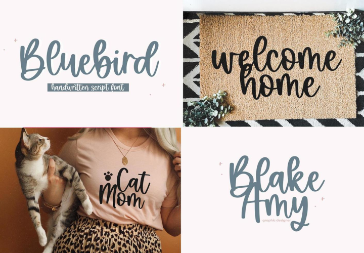 Modern Script Fonts Bundle free download preview 2 – Modern Fonts font