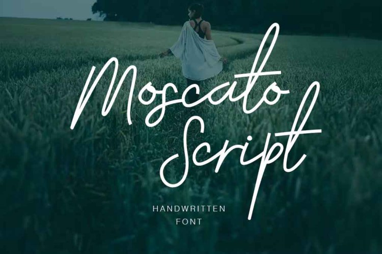 Moscato Script Font free download preview 3 – Script And Handwritten font