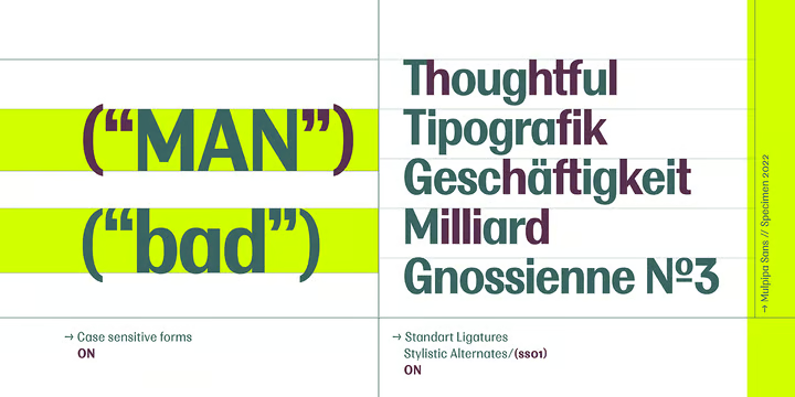 Multipa Font Family free download preview 4 – Sans Serif Fonts font