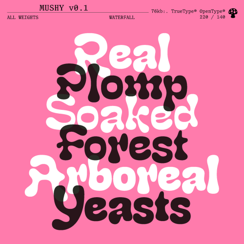 Mushy Font Family free download preview 4 – Display Fonts font