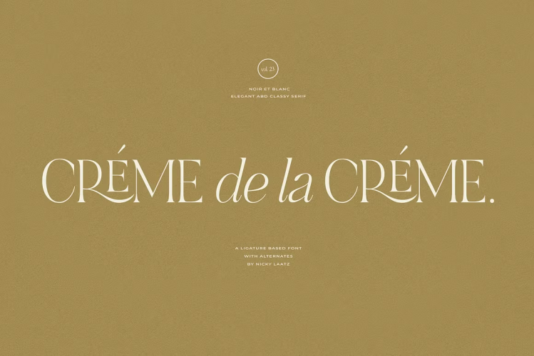NOIR et BLANC Font free download preview 2 – Serif Fonts font