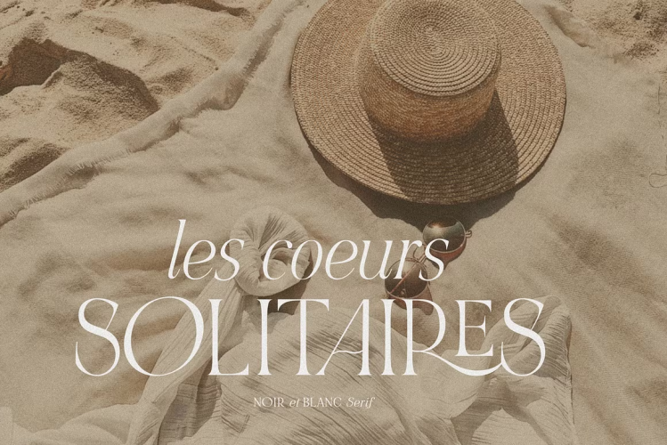 NOIR et BLANC Font free download preview 8 – Serif Fonts font