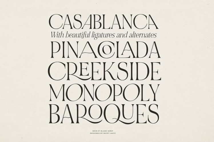 NOIR et BLANC Font free download preview 9 – Serif Fonts font