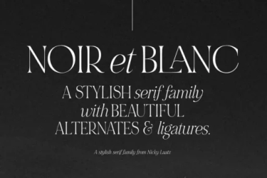 NOIR et BLANC Font free download – Serif Fonts font preview