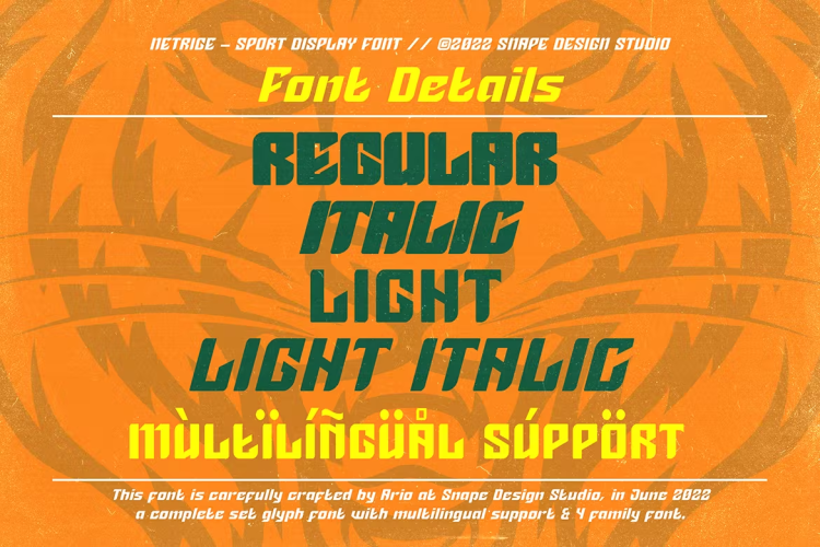 Netigre Sport Font free download preview 1 – Decorative Fonts font