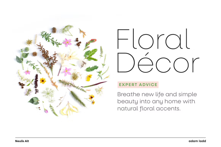 Neulis Font free download preview 1 – Sans Serif Fonts font
