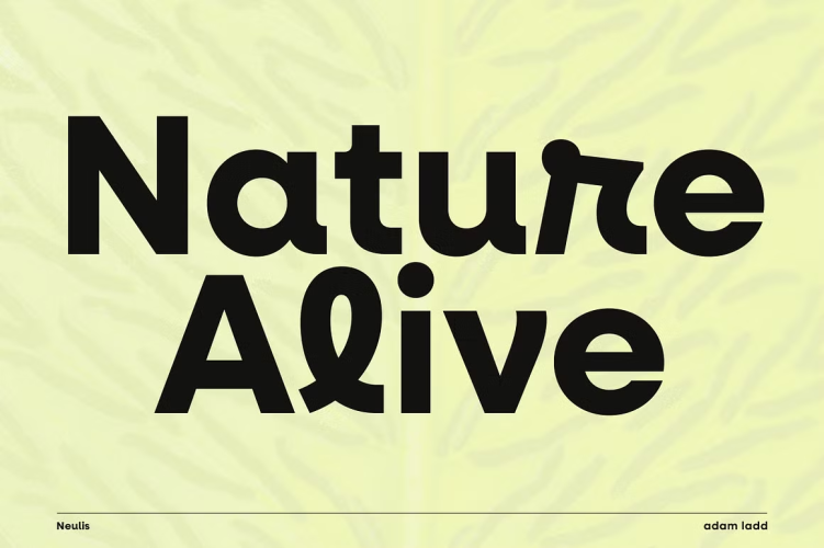 Neulis Font free download preview 7 – Sans Serif Fonts font
