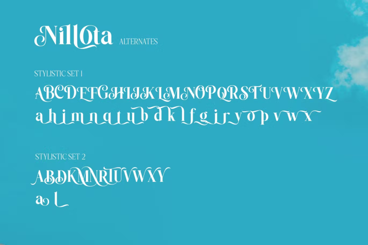 Nilota Font free download preview 6 – Serif Fonts font