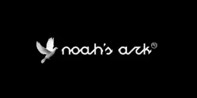 Noahs Ark Font free download – Display Fonts font preview