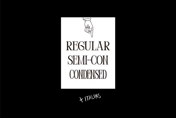Perandory Font free download preview 2 – Serif Fonts font