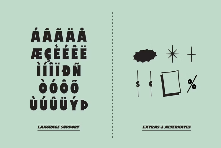 Price Check Font free download preview 5 – Display Fonts font