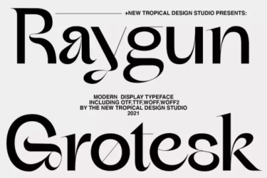 Raygun Font free download – Display font preview