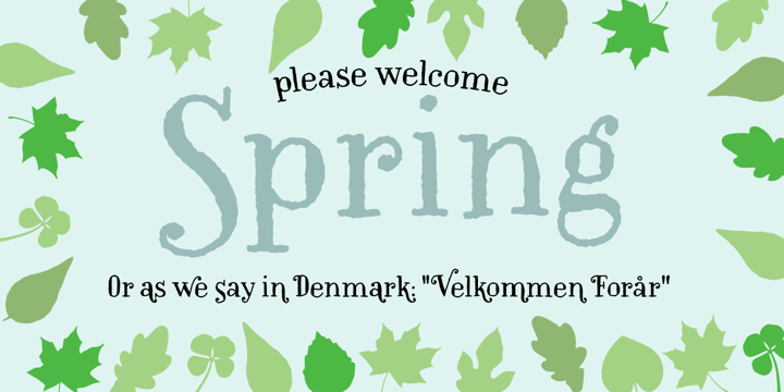 Rookie Heat Font free download preview 3 – Display Fonts font