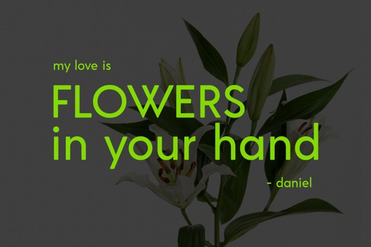 Salimo Gothic Sans Serif Font free download preview 2 – Sans Serif Fonts font