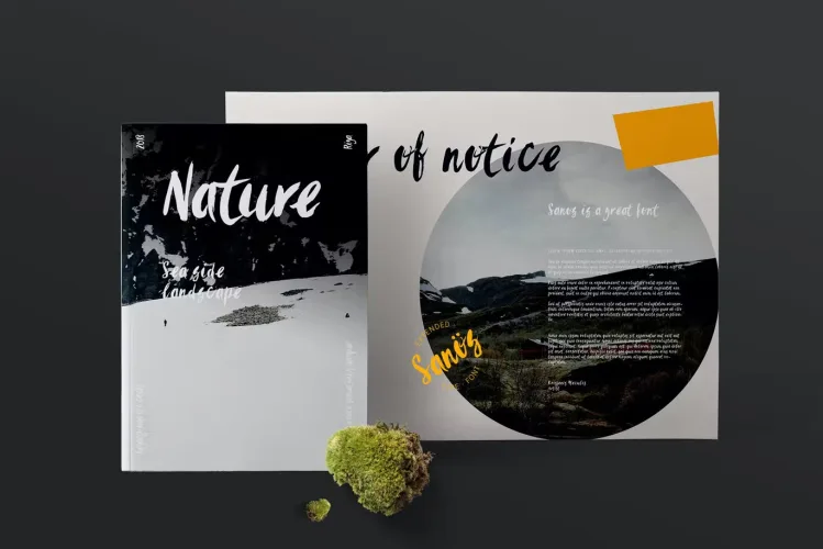 Sanös Extended Script Font preview 2 – Serif Fonts font sample