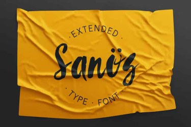 Sanös Extended Script Font free download – Serif Fonts font preview