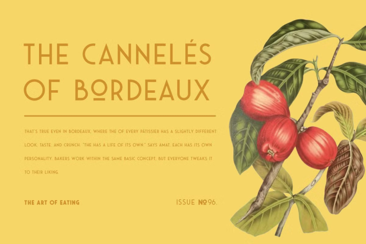 Saveur Sans Font free download preview 4 – Display Fonts font