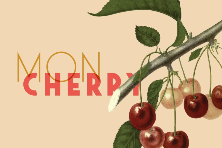 Saveur Sans Font free download preview 5 – Display Fonts font