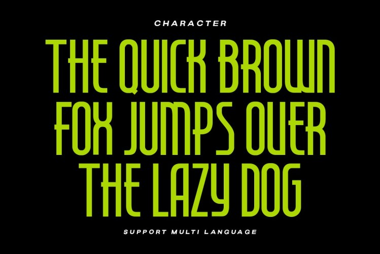 Seattle Highland – Condensed Font free download preview 3 – Display Fonts font