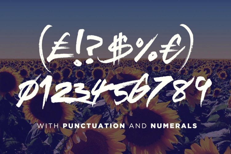 Sickamore Font free download preview 4 – Display Fonts font