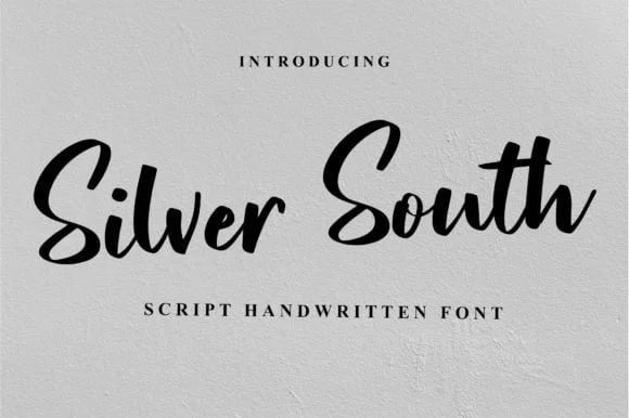 Silver South Font free download preview 4 – Script And Handwritten font