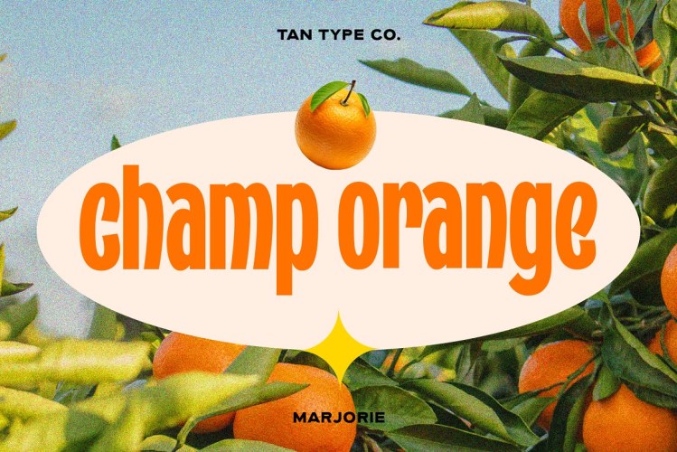 TAN MARJORIE Font free download preview 6 – Display Fonts font