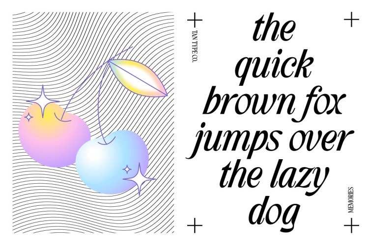 TAN MEMORIES FONT free download preview 6 – Display Fonts font