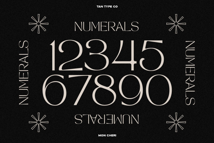 TAN MON CHERI FONT free download preview 10 – Serif Fonts font