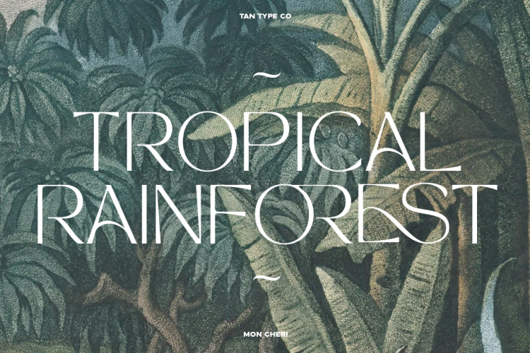 TAN MON CHERI FONT free download preview 2 – Serif Fonts font
