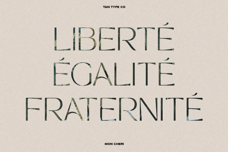 TAN MON CHERI FONT free download preview 5 – Serif Fonts font