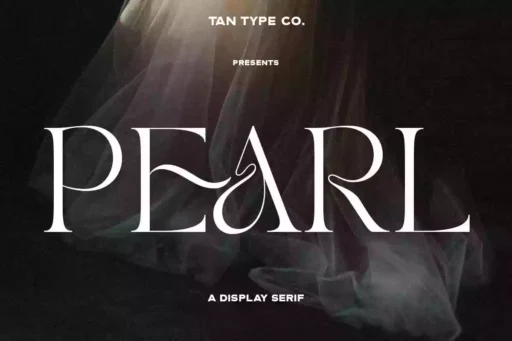 TAN PEARL Font free download preview 10 – Serif Fonts font