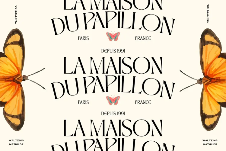 TAN WALTZING MATHILDE Font preview 3 – Display Fonts font sample
