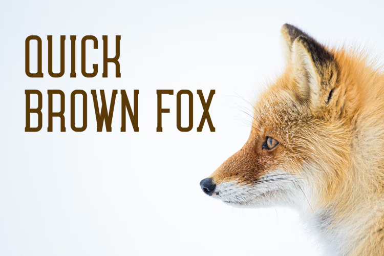 Tepoid Font free download preview 2 – Serif Fonts font
