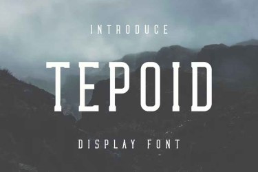 Tepoid Font free download – Tepoid Font font preview