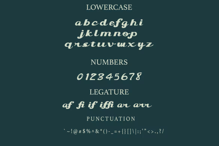 The Pacific Rush Font free download preview 2 – Script And Handwritten font